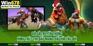 Đá Gà Truyền Thống - Hình Thức Thi Đấu Mang Dấu Ấn Lâu Đời